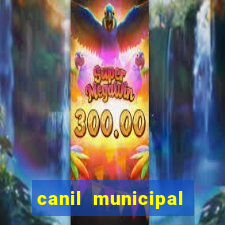 canil municipal porto alegre